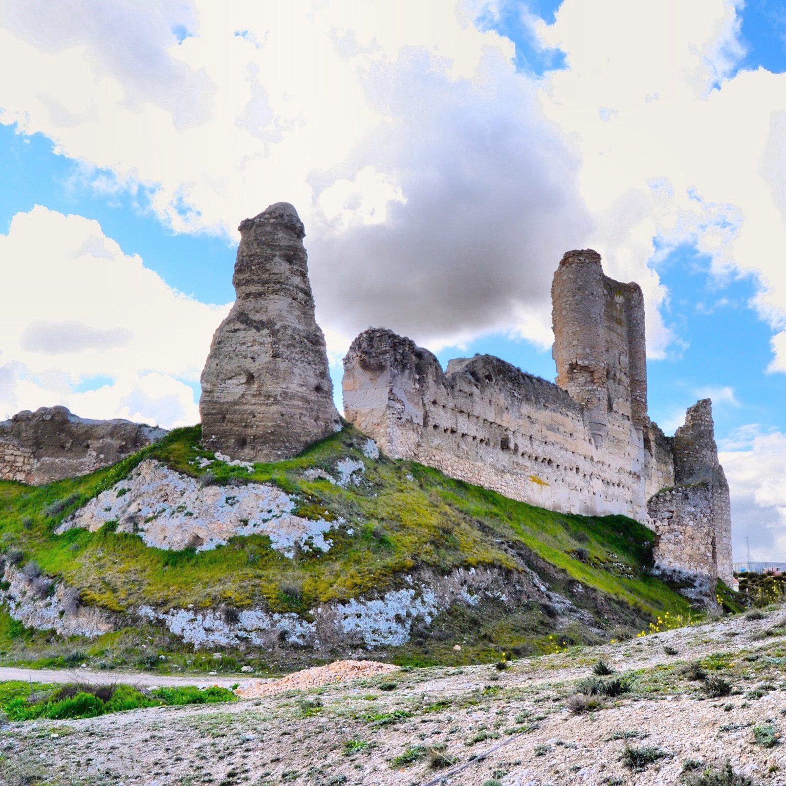 restos de la fortaleza de la que actualmente permanecen en pie la torre del homenaje, un muro y los restos de algunas torres. Ampliado o reconstruido en el siglo XIV, el castillo era de planta irregular, construido en tapial.