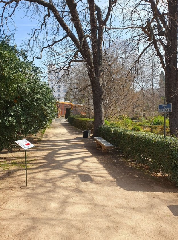Paseo del Real Jardín Botánico con grandes árboles y un banco para descansar
