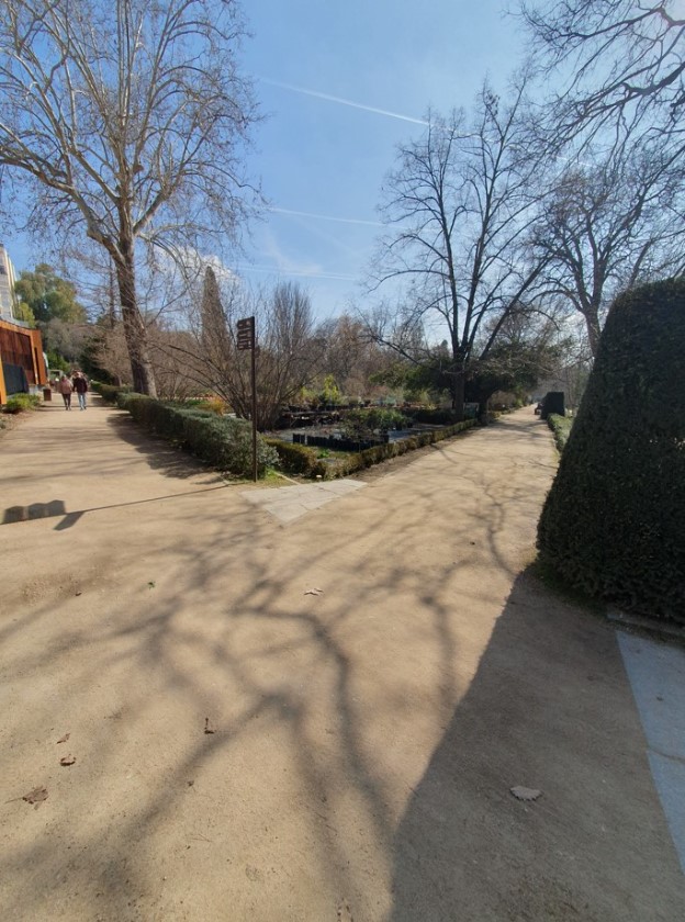 Cruce en el paseo del jardín