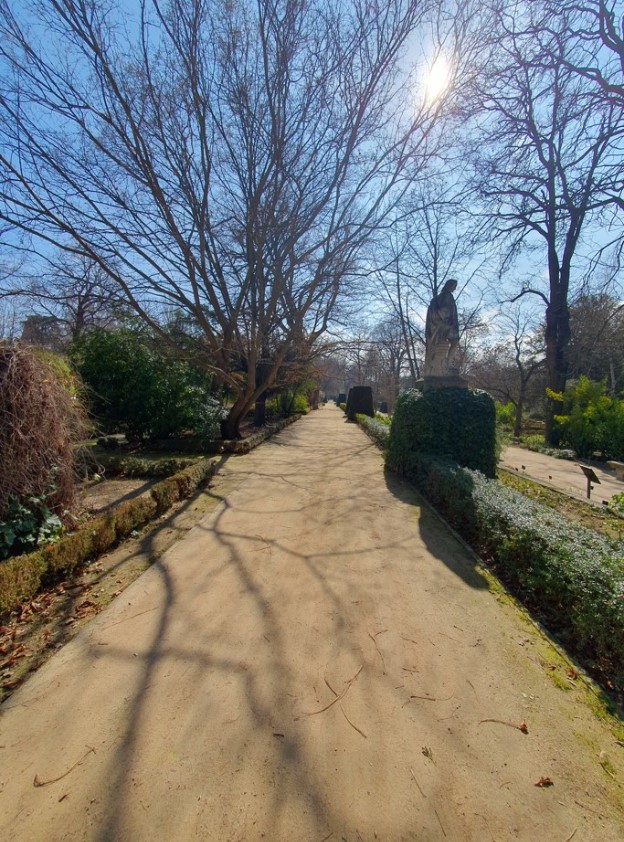 Paseo del jardín rodeado de árboles y arbustos