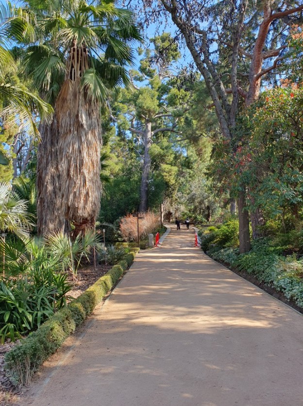 Paseo del jardín rodeado de árboles y arbustos