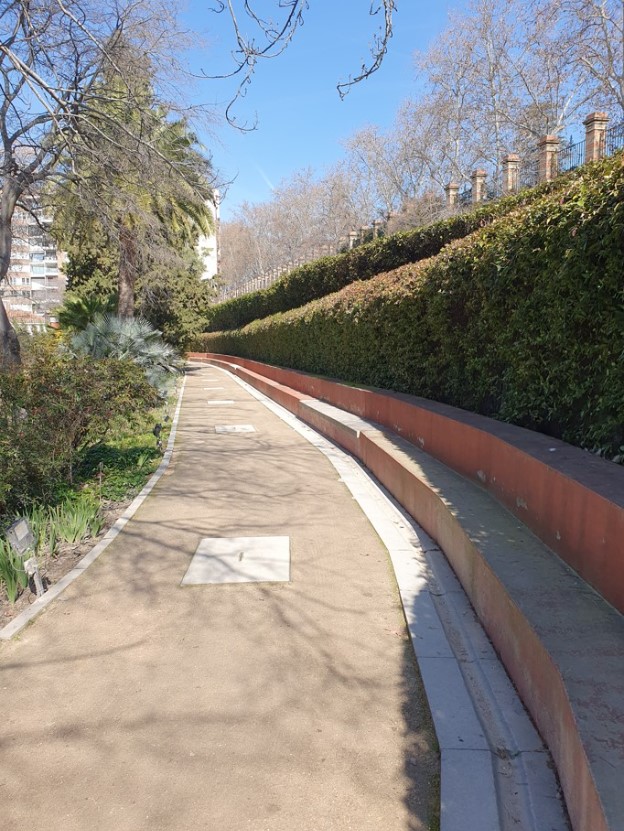 Paseo rodeado de árboles y arbustos