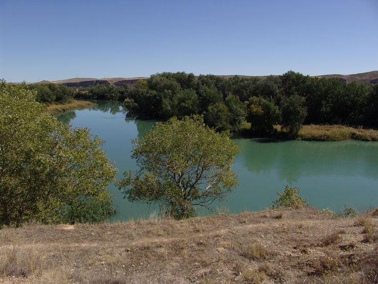 View of the River Tajo as it passes through Villamanrique, where the course of this river and of several streams shapes its outstanding natural surroundings.