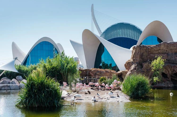Edificio Oceanografico di Valencia
