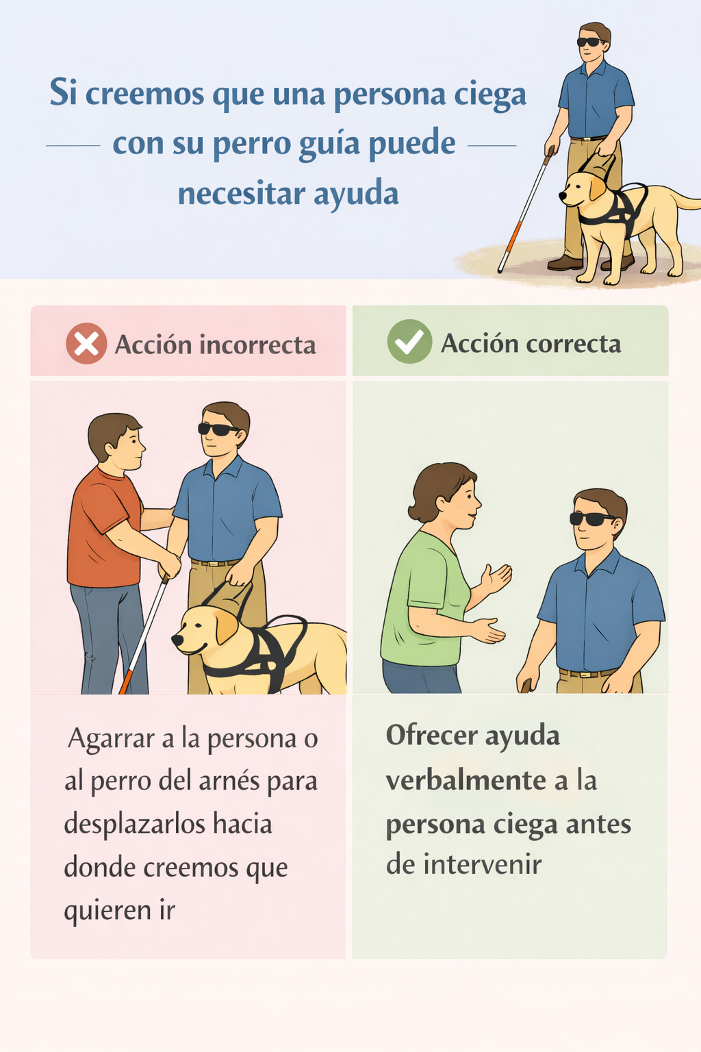 Infografía que muestra los puntos mencionados