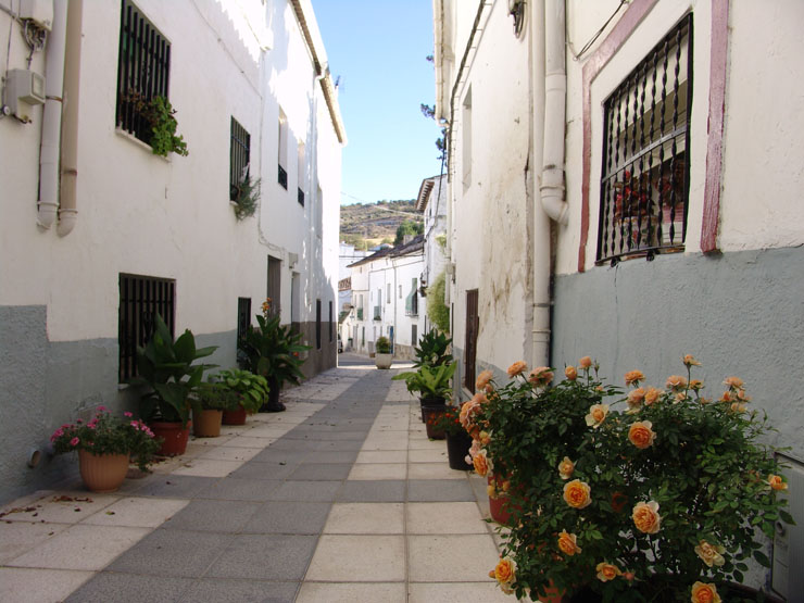vista del área natural de 40.000 metros cuadrados rodeado por el río Tajo. Aquí se disfruta de una importante flora que encontraremos a lo largo de sus agradables y sombreados senderos.