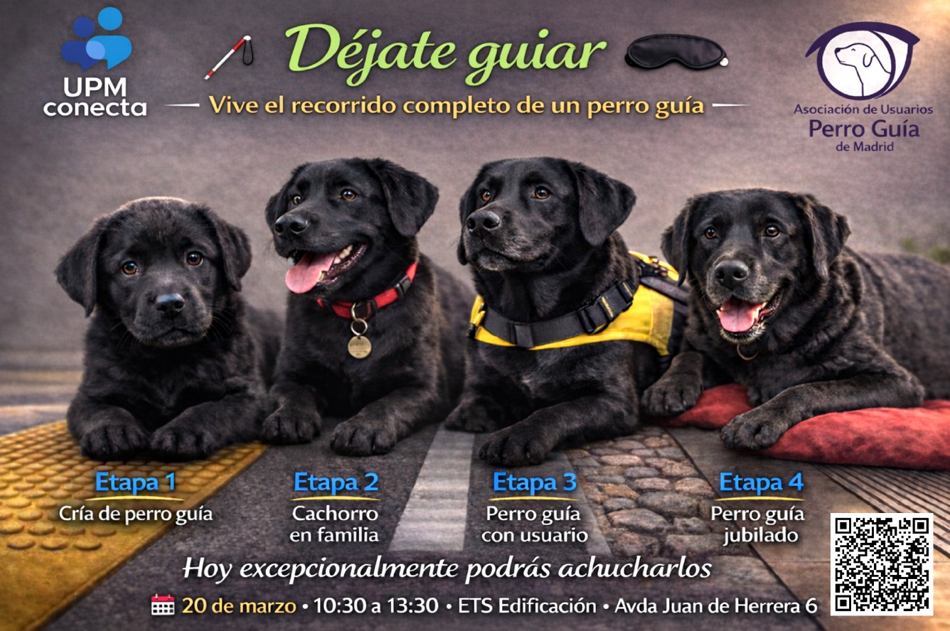 Promotional poster for the activity with an image of 4 guide dogs