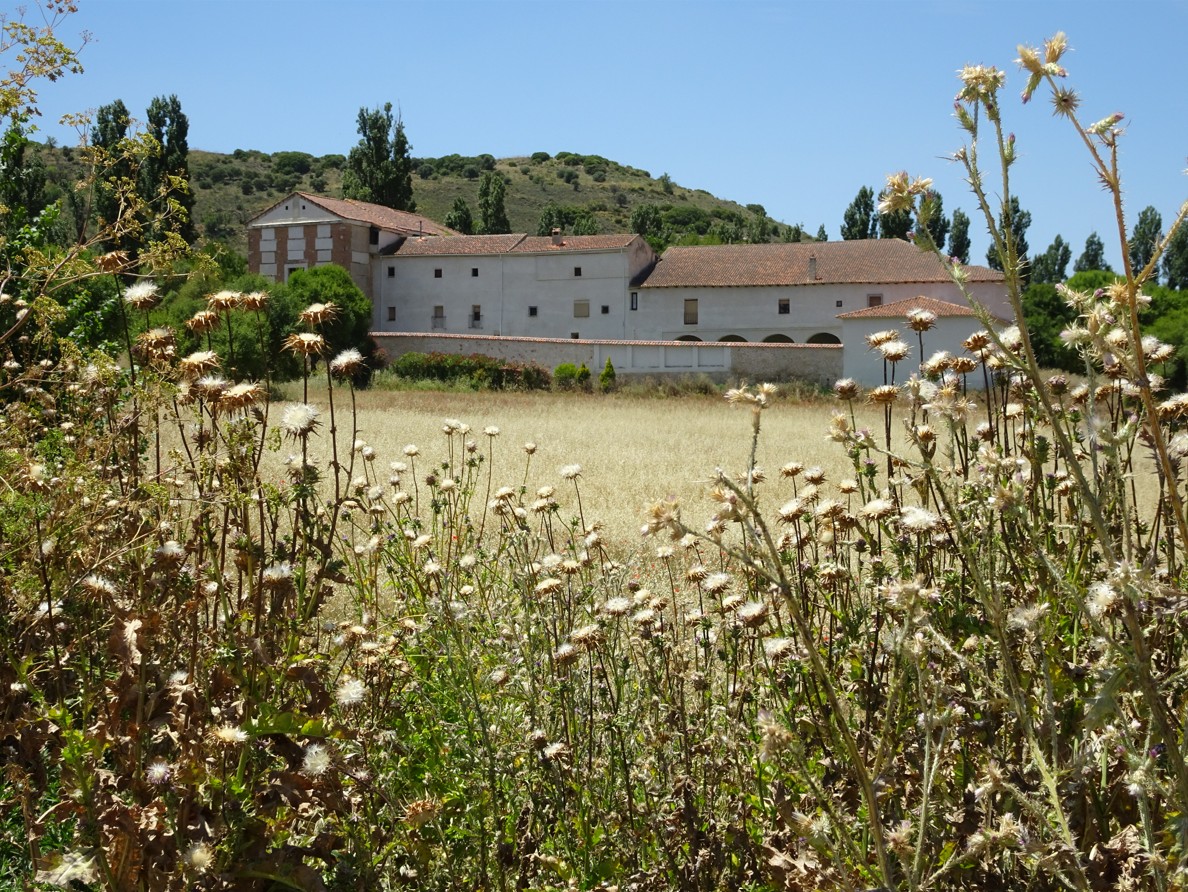 vista del antiguo convento donde destacan el molino de aceite, la cilla o almacén, el palomar, las dependencias conventuales y la iglesia con su camarín de la Virgen.