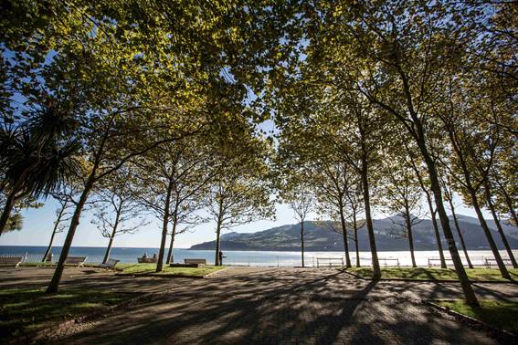 Photo of a park esplanade with benches, shaded by tall plane trees, and with wonderful views of the sea against a backdrop of green hills.