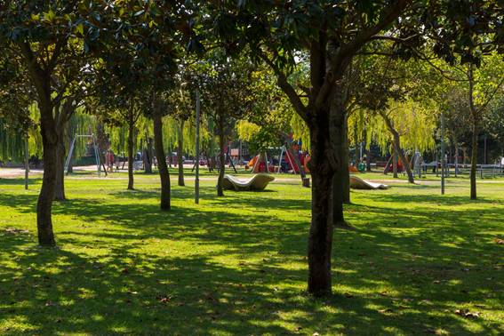 Image of trees in Colomer Park.