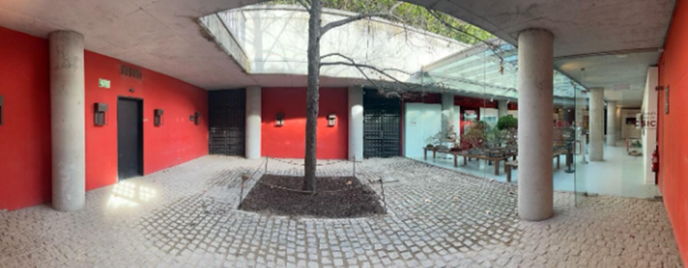 El Patio del Tilo
