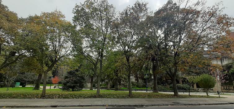 Tamaina ertaineko zuhaitz ugari dituen gune berdea, eta horien artean harkaitz-horma bat ikus daiteke.