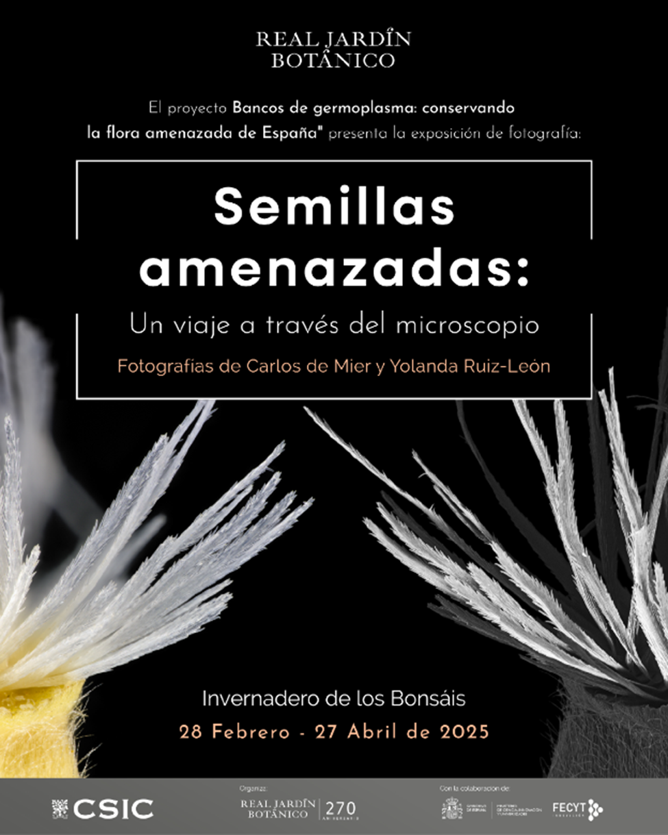 Cartel promocional de la exposición