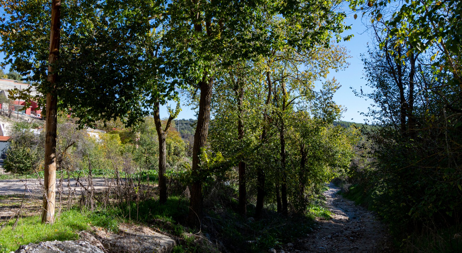 entrada al parque municipal cercano a la vega del municipio, marco imprescindible para las celebraciones de algunos actos en las fiestas, ampara una gran variedad de especies vegetales típicas de la zona como álamos o los habituales olivos.  