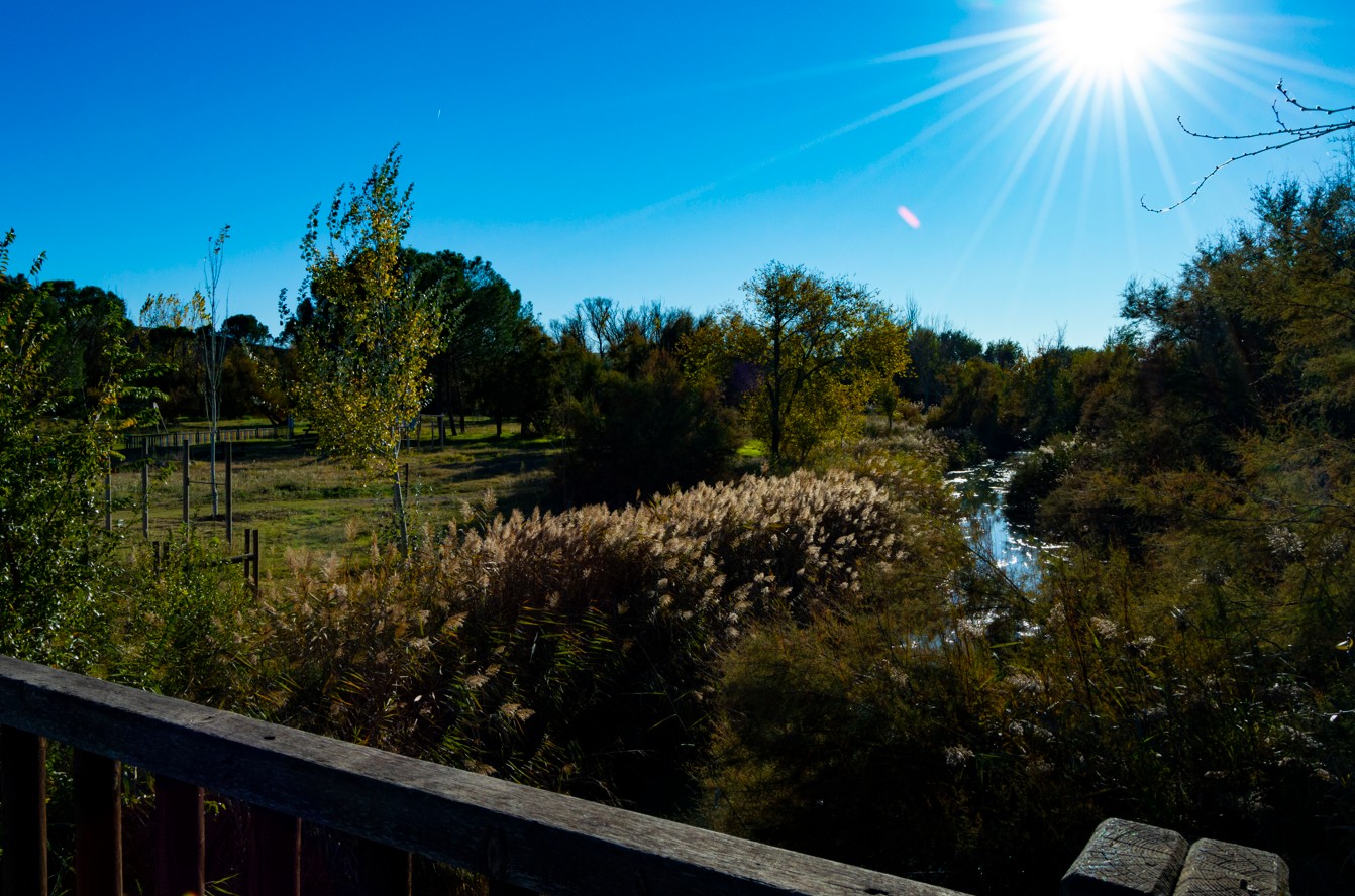 View of the 40,000-square-metre natural area surrounded by the River Tajo. Here, a rich variety of flora can be enjoyed along its pleasant, shaded paths.