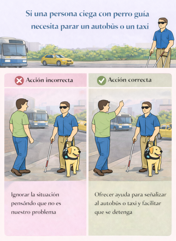 Infografía que muestra los puntos mencionados