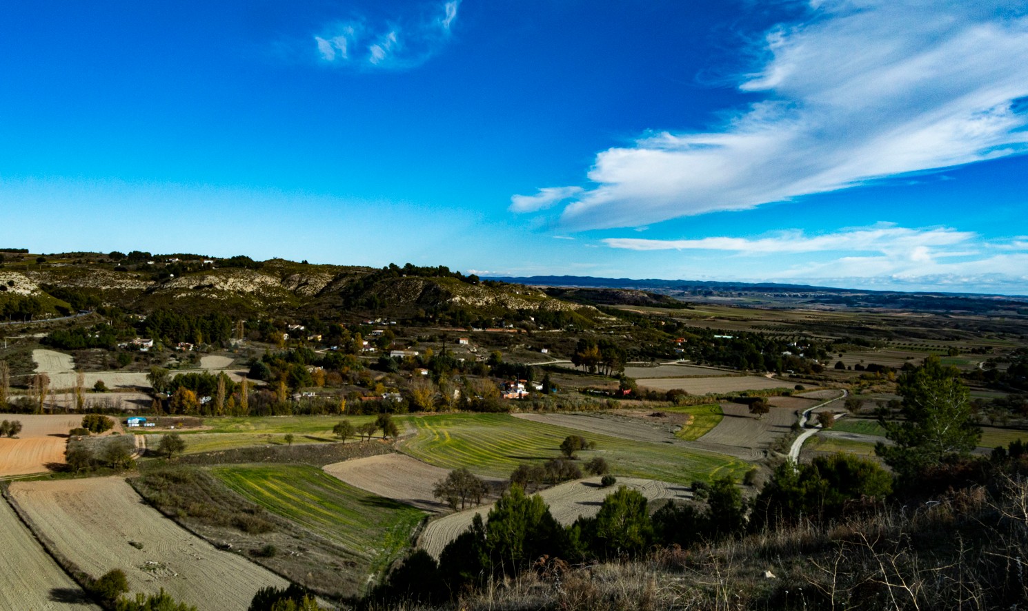 Los olivos y los campos de cereal nos acompañan por la bucólica carretera que nos lleva a Brea de Tajo, una pequeña aldea de paz 