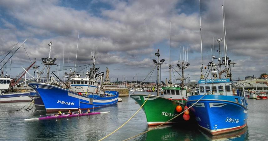 Puerto pesquero