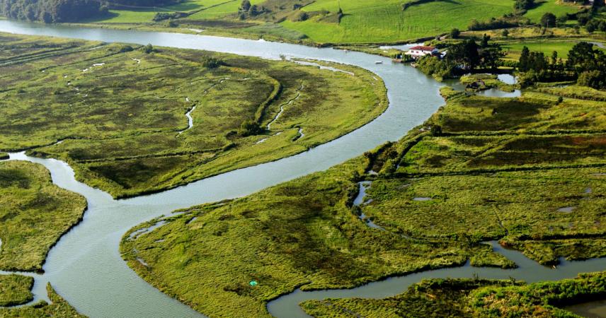  Foto de Urdaibai; terrenos verdes llanos surcados por un meandro y por numerosos canales de formas caprichosas