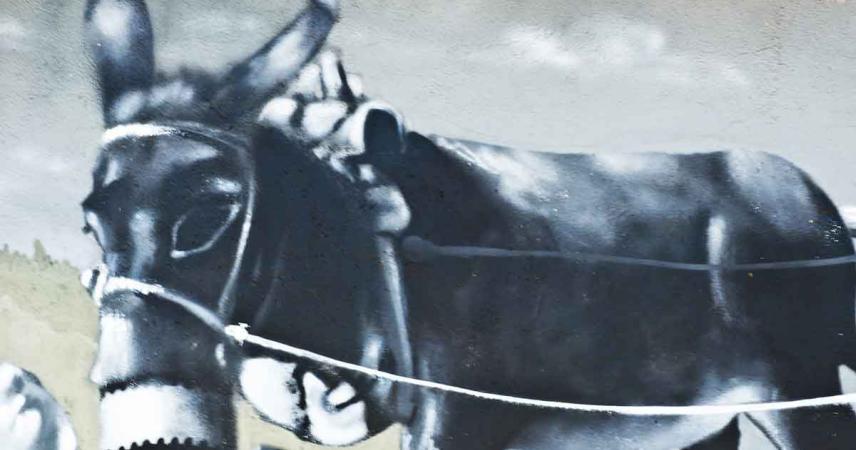 Peinture murale d&#39;un âne faisant tourner une grande roue