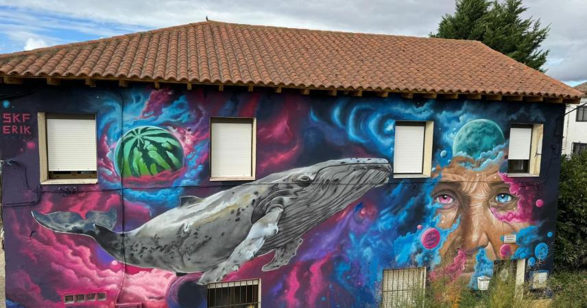 Peinture murale d&#39;éléments fantastiques dans les tons roses et bleus