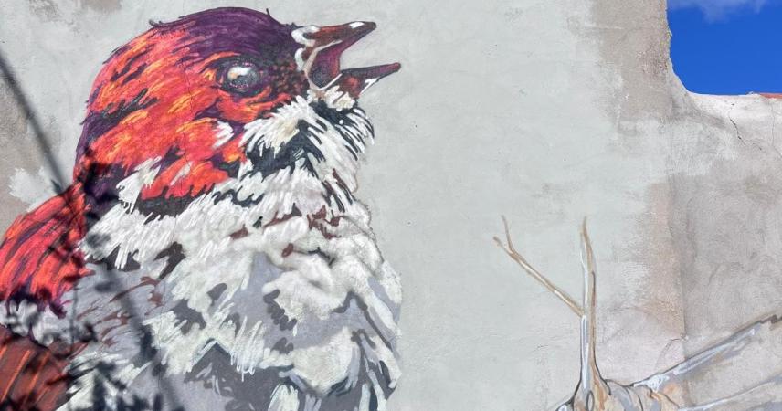 Peinture murale de deux moineaux dans des tons gris et rougeâtres