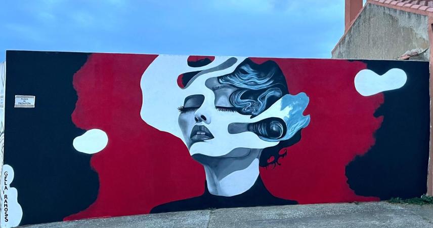 Peinture murale avec une illustration en noir et blanc d&#39;une femme avec une partie de son visage déformée, sur fond rouge et noir