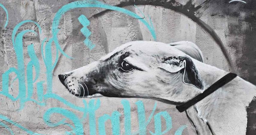 Peinture murale d&#39;un chien et d&#39;un aigle dans des tons de gris, bleu et marron