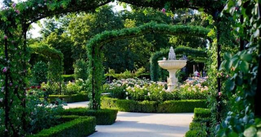 Photographie de la Roseraie de Cecilio Rodríguez dans laquelle on peut voir le monument à Benito Pérez Galdós. C'est un coin luxuriant de végétation et de roses.