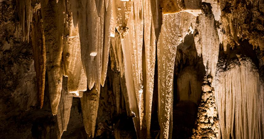 Interior of the Pozalagua cave