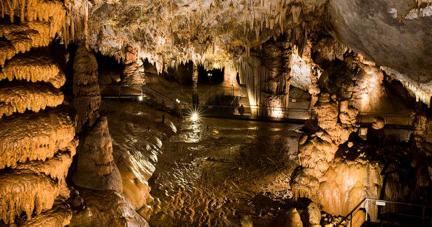 Interior of the Pozalagua cave