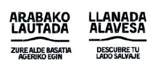 Logotipo turismo llanada alavesa, cuadrilla y araba medieval